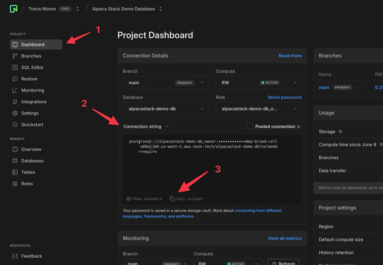 Neon Connection String